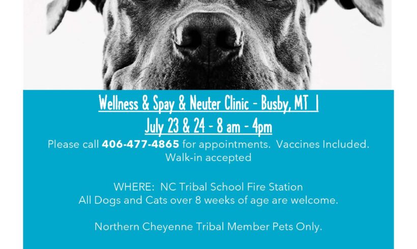 Wellness & Spay & Neuter Clinic – Busby, MT